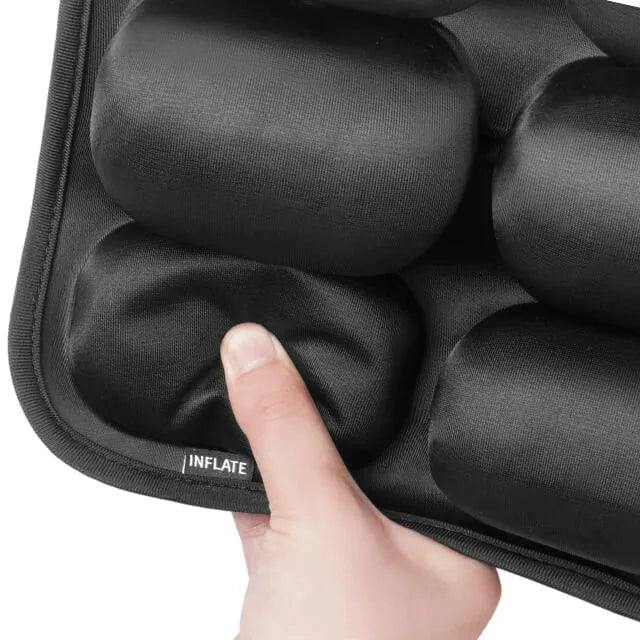 Travel Back and Seat Cushion